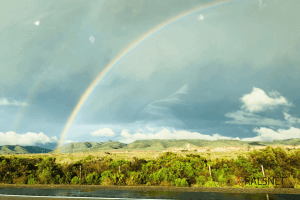 逆境で進化する 〜うまくいっていないときこそ最大のチャンス！〜