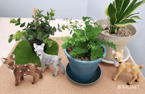 オフィスの緑化はじめました★