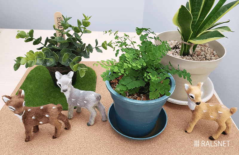 オフィスの緑化はじめました★