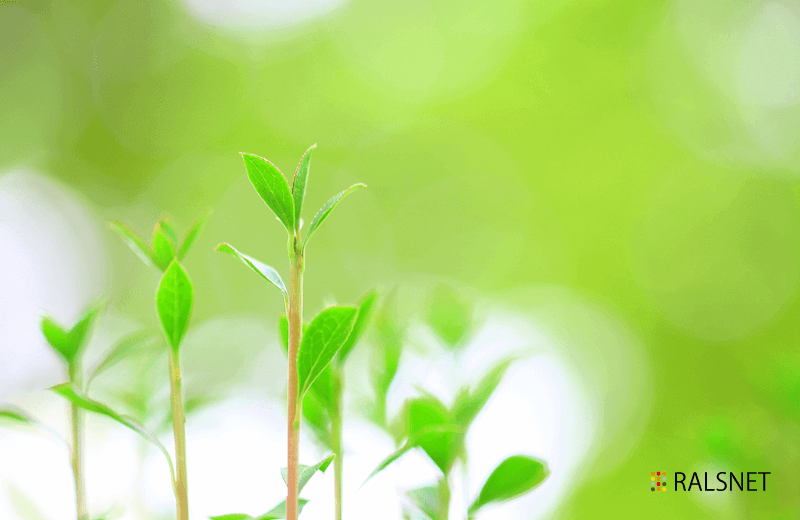 【受付終了】2021年卒「WEBエンジニア」「WEBデザイナー」のエントリーの受付を開始しました！